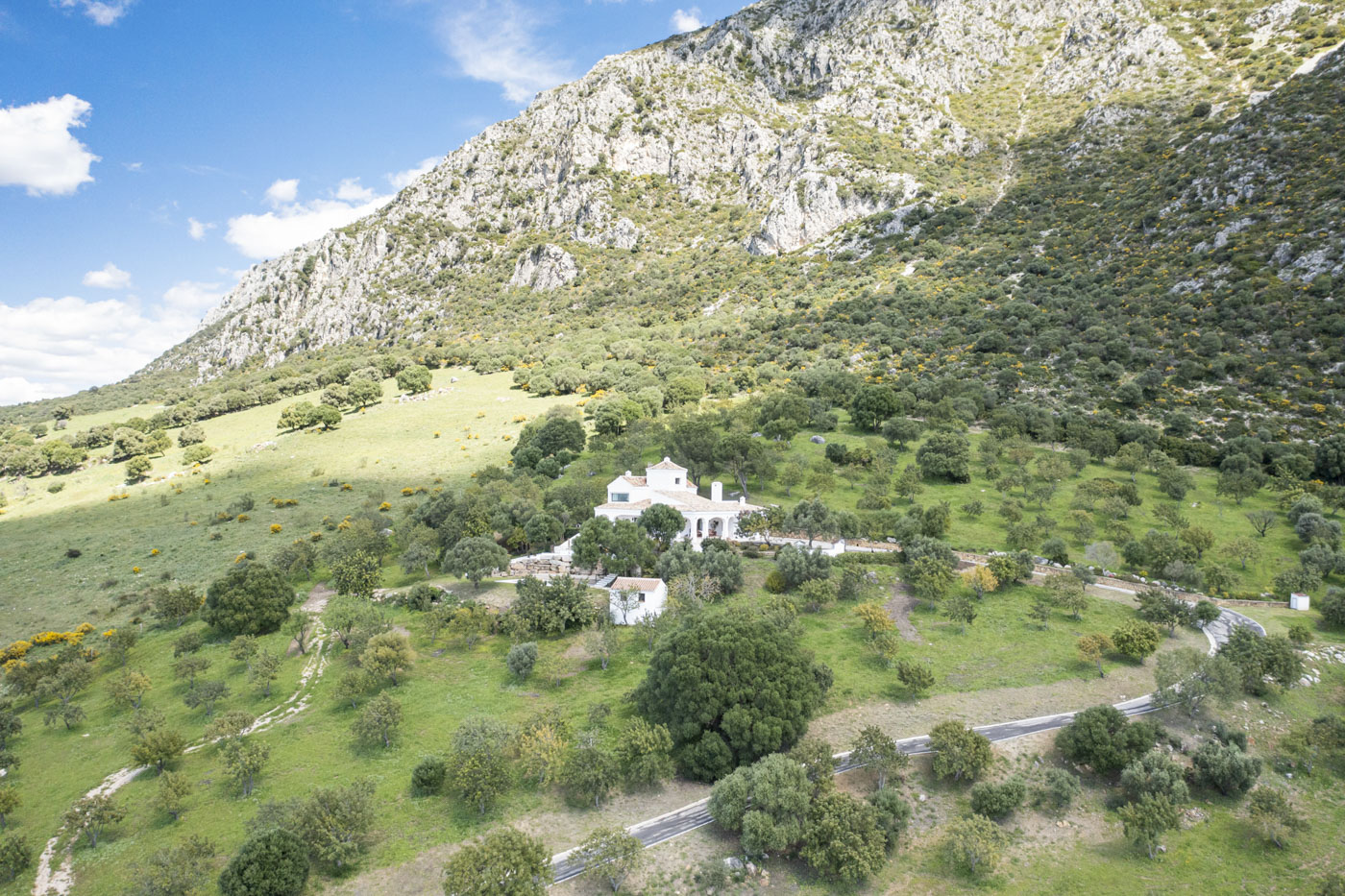 A private paved track takes you to your villa